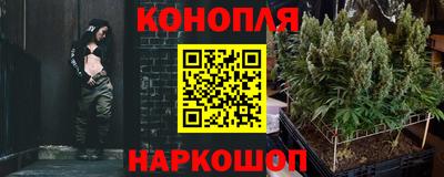 ГАЛЛЮЦИНОГЕННЫЕ ГРИБЫ Кандалакша
