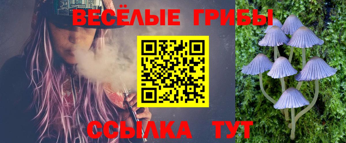 Псилоцибиновые грибы прущие грибы  Вход с VPN  Ивантеевка  Галлюциногенные грибы мухоморы 